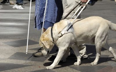 Hilfsmittel für sehbehinderte Menschen
