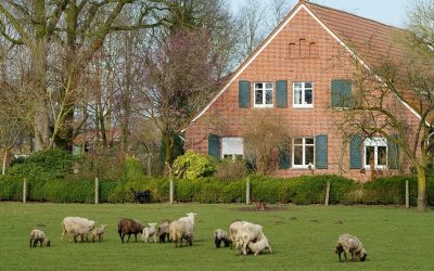Grundstücksübertragung als Spekulationsgewinn