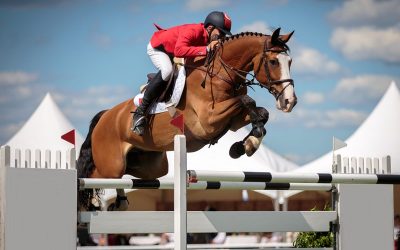 Umsatzsteuer: Reitunterricht als Freizeitgestaltung