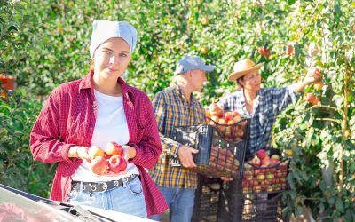 Kurzfristige Beschäftigung in der Landwirtschaft: Änderungen ab 2026