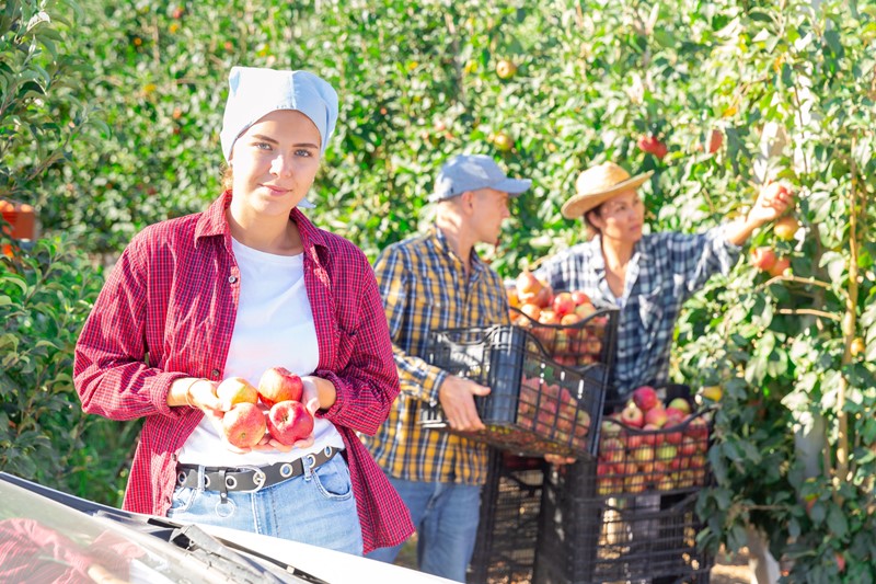 Kurzfristige Beschäftigung in der Landwirtschaft: Änderungen ab 2026